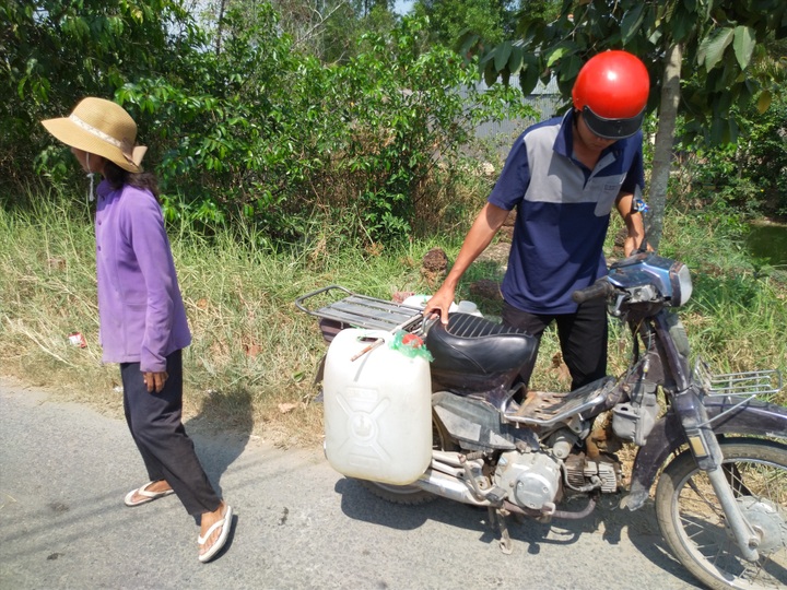 Crops in Long An severely damaged by drought - 9 Crops in Long An severely damaged by drought - 9