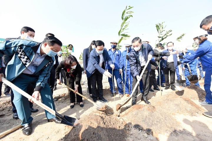 Hanoi launches tree-planting festival on New Year of Ox - 1