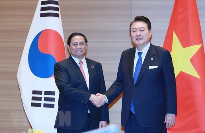 Vietnamese PM meets RoK President - 1