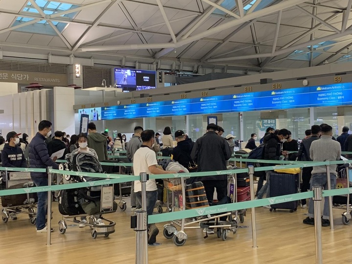 Nearly 450 more Vietnamese citizens from RoK return home - 1