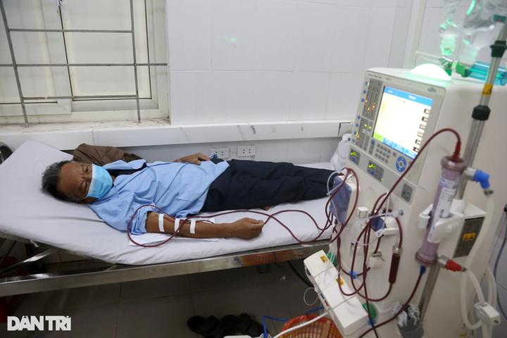 Poor woman in Ha Tinh aims to save ailing husband and son - 1