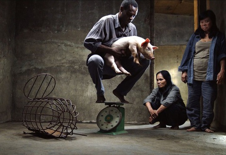 Award-winning film fined for failing to get licence - 1 Award-winning film fined for failing to get licence - 1