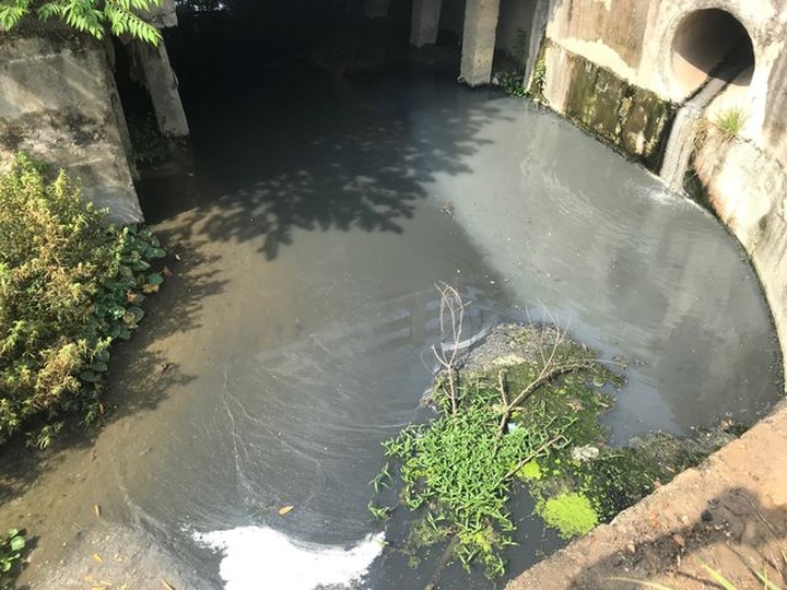 Quang Ngai protests against polluting industrial park - 1 Quang Ngai protests against polluting industrial park - 1