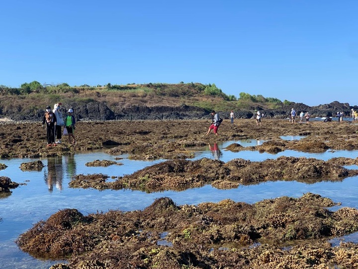Near-shore coral reef threatened by tourism activities - 2