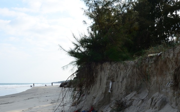 Quang Ngai beach faces serious erosion - 2 Quang Ngai beach faces serious erosion - 2