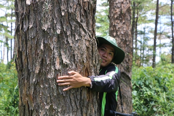 Officials abet forest destruction in central highlands province - 2