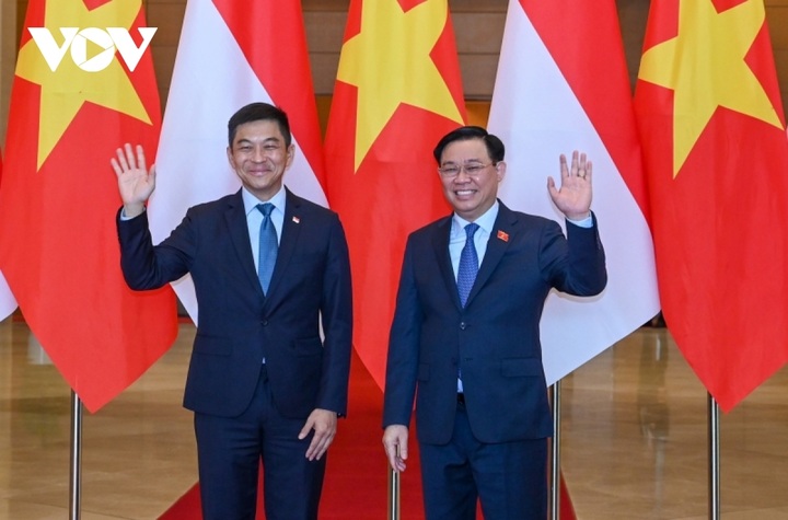 Vietnam, Singapore look to foster all-around relations - 1