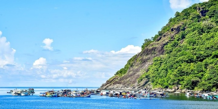 Ca Mau establishes new marine reserve - 1