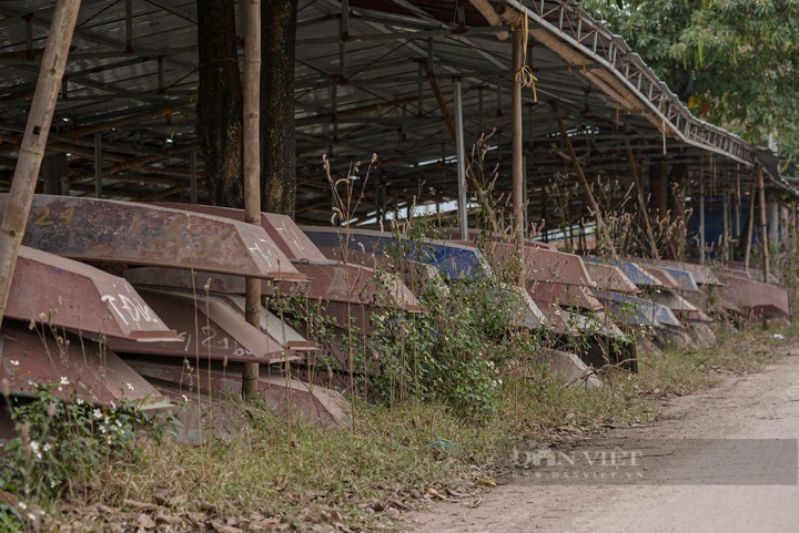 Thousands of boats at Huong Pagoda left idle amid pandemic - 11
