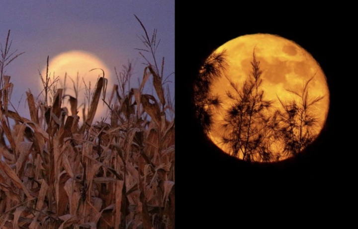 Harvest Supermoon to be observed in Vietnam - 1 Harvest Supermoon to be observed in Vietnam - 1