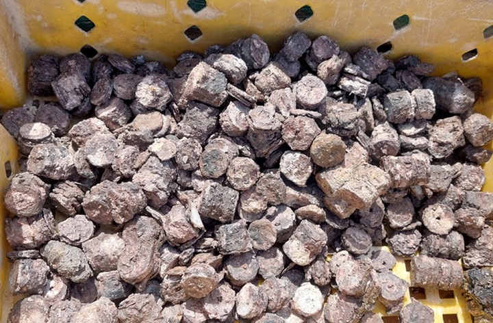 Quang Binh fishermen discover huge amount of coins - 1