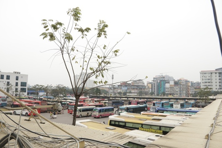 Hanoi bus stations deserted due to Coronavirus - 7
