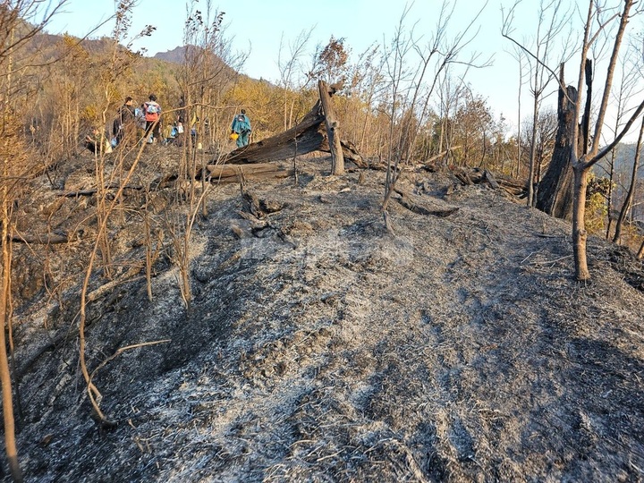 Hoang Lien National Park forest badly damaged by fire - 1 Hoang Lien National Park forest badly damaged by fire - 1