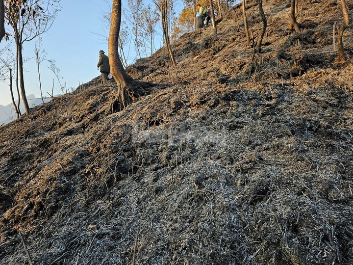 Hoang Lien National Park forest badly damaged by fire - 2 Hoang Lien National Park forest badly damaged by fire - 2