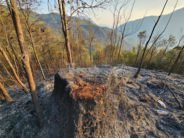 Hoang Lien National Park forest badly damaged by fire - 5 Hoang Lien National Park forest badly damaged by fire - 5