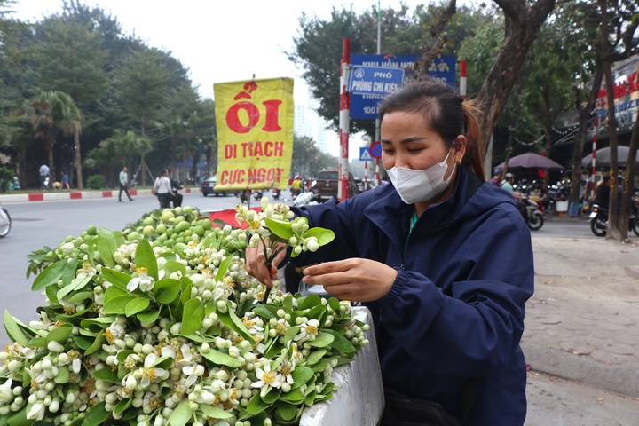 Pomelo flowers attract customers in Hanoi - 3 Pomelo flowers attract customers in Hanoi - 3