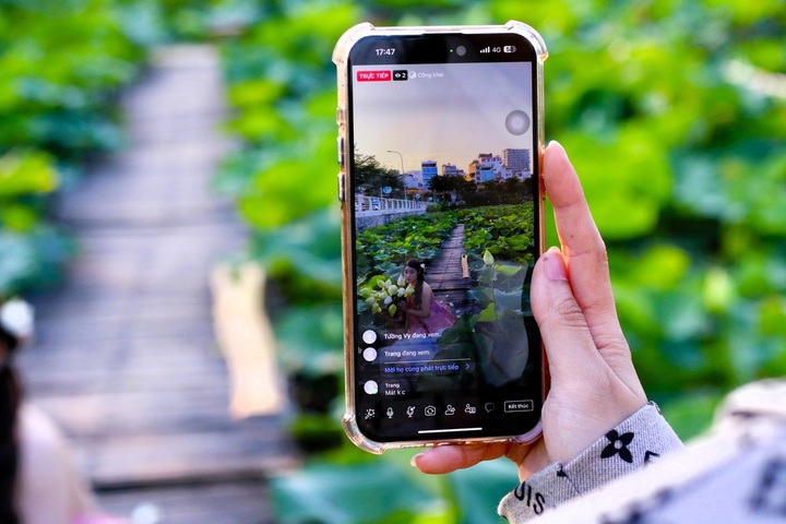 Hanoi lotus ponds enchant visitors - 8 Hanoi lotus ponds enchant visitors - 8