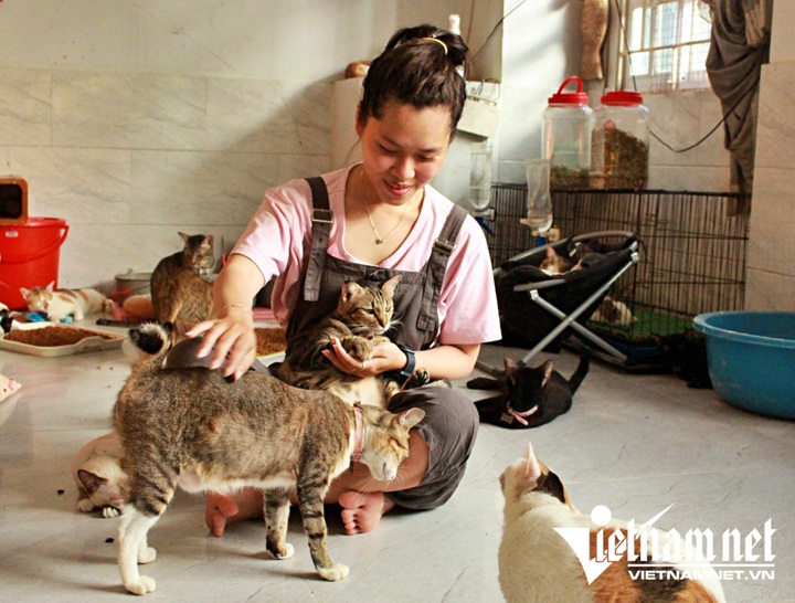 HCM City couple cancels wedding to spend money on cats - 2