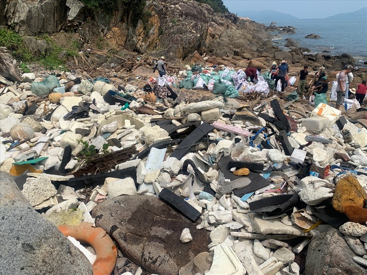 Hundreds collect litter in Danang - 1