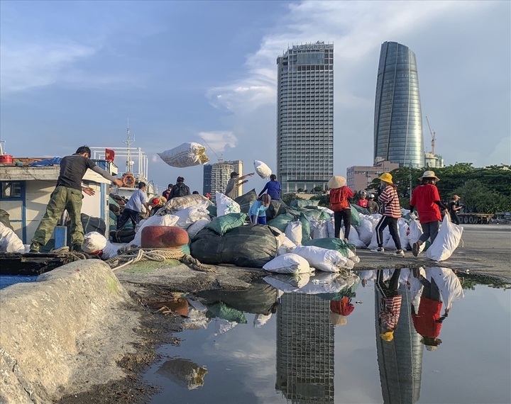 Hundreds collect litter in Danang - 10