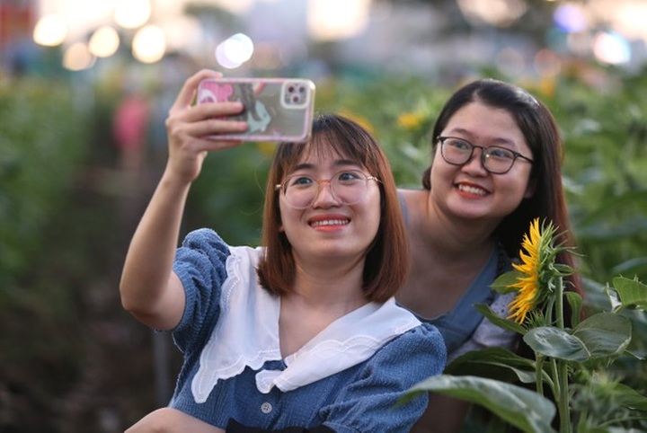 Sunflower field by Saigon River attract visitors - 7 Sunflower field by Saigon River attract visitors - 7