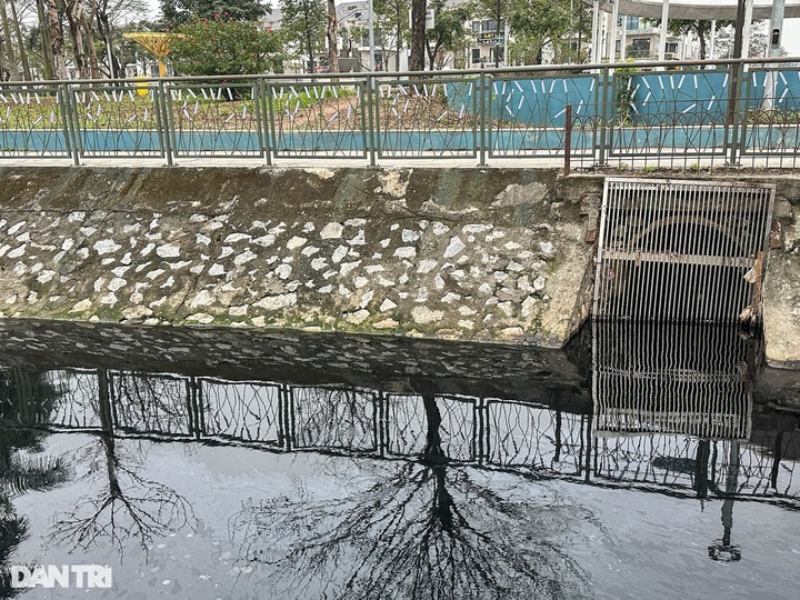 Newly-opened Hanoi park faces pollution after mass fish deaths - 6 Newly-opened Hanoi park faces pollution after mass fish deaths - 6
