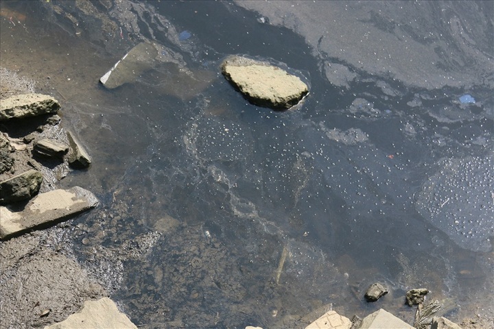 Danang river continues combatting with severe pollution - 2 Danang river continues combatting with severe pollution - 2