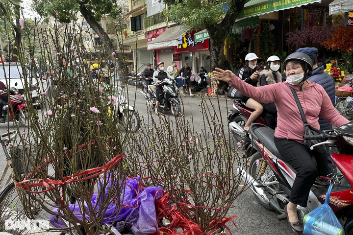 Early peach blossoms hit Hanoi streets - 4