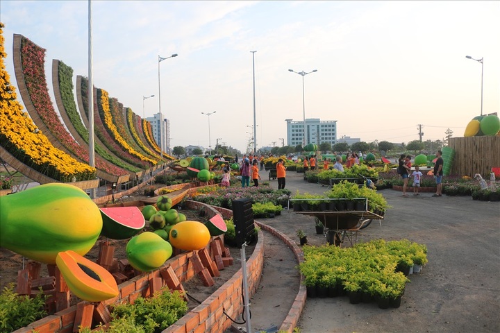 My Tho prepares Tet flower street - 2