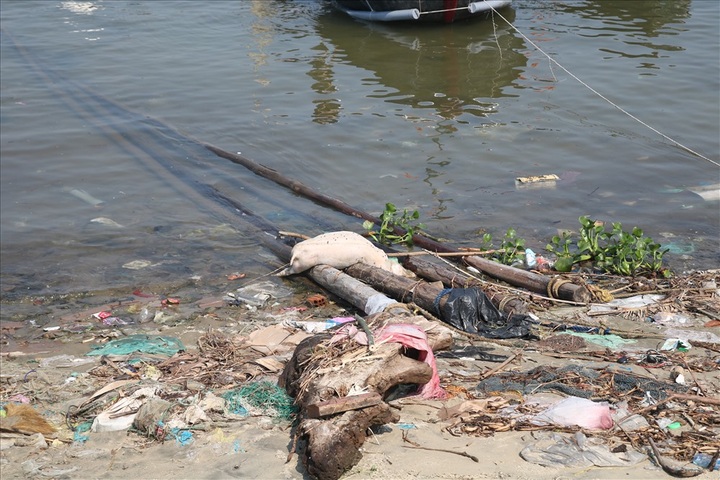 Litter covers beach near Hoi An Town - 3