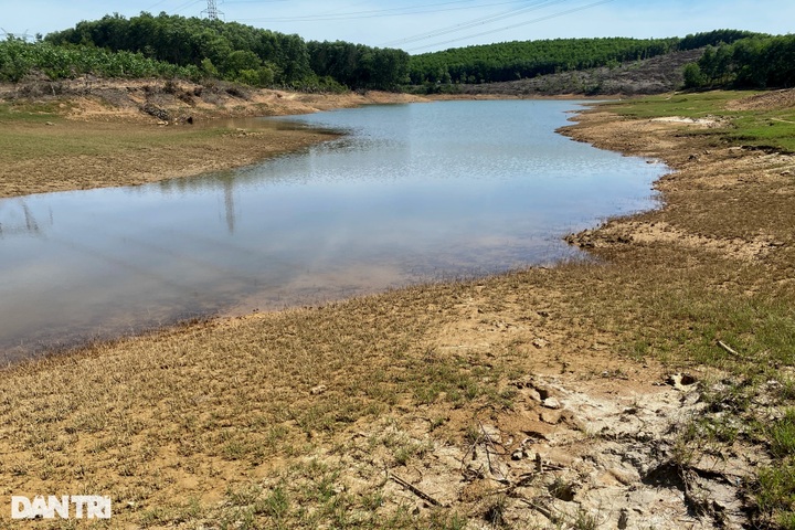Thua Thien-Hue reservoirs lack water - 4 Thua Thien-Hue reservoirs lack water - 4