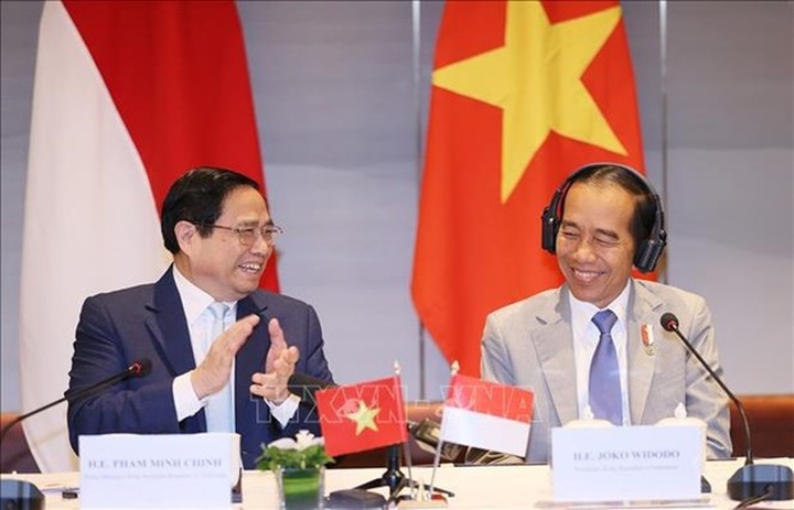 Vietnam, Indonesia eye stronger economic, trade ties - 1