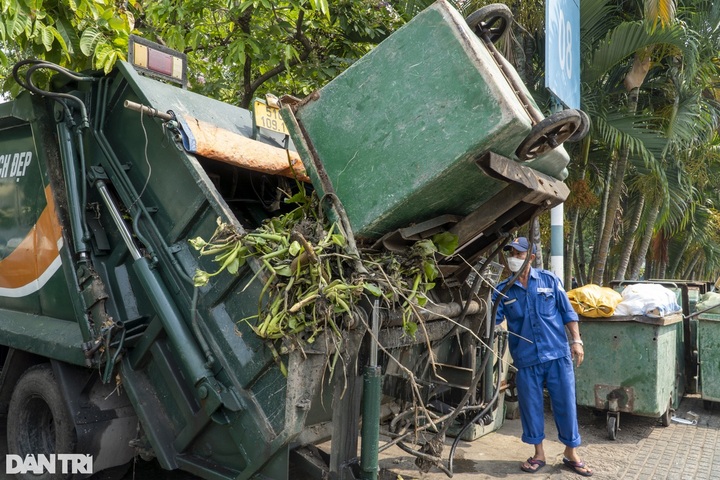 Environment workers protect HCM City canal - 8