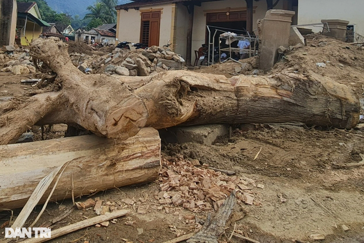 Dantri/DTiNews readers support flood-hit people in Nghe An - 2