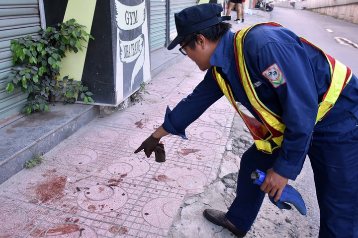 Foreign tourist hospitalised after being attacked by Nha Trang dog - 1