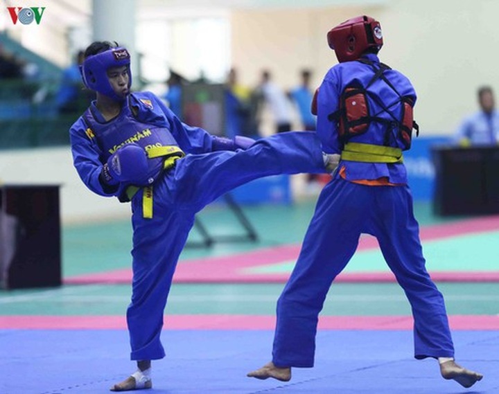 Vovinam Vietnam marks return with national tournament - 1