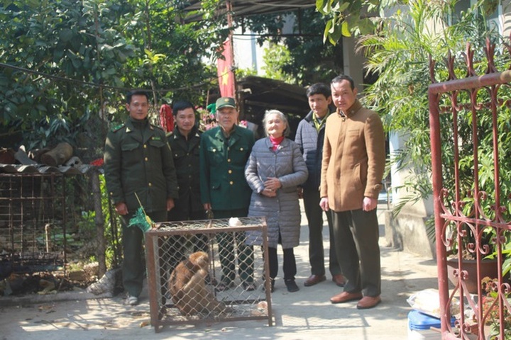 Rare monkeys handed over to Hoang Lien National Park - 1