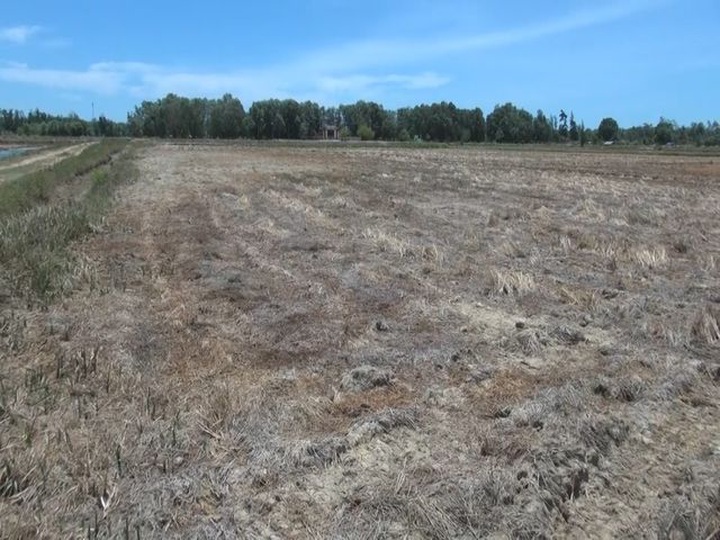 Central region faces serious drought - 1