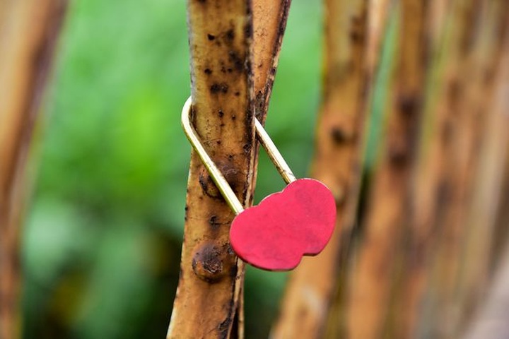 Long Bien Bridge turned into dating site with love locks - 4