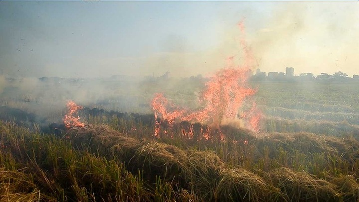 Noi Bai aviation safety threatened by straw burning - 1