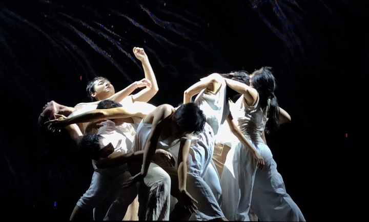 What's on May 11-17 (Daily updated) - 1