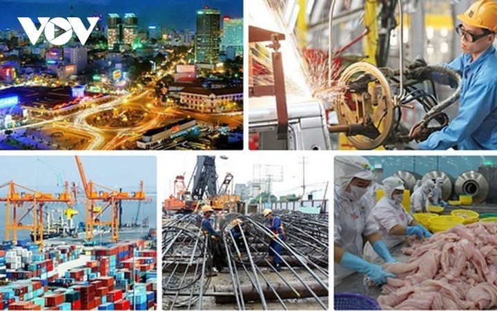 Japanese journal: Vietnam to represent bright spot in global economy in 2021 - 1