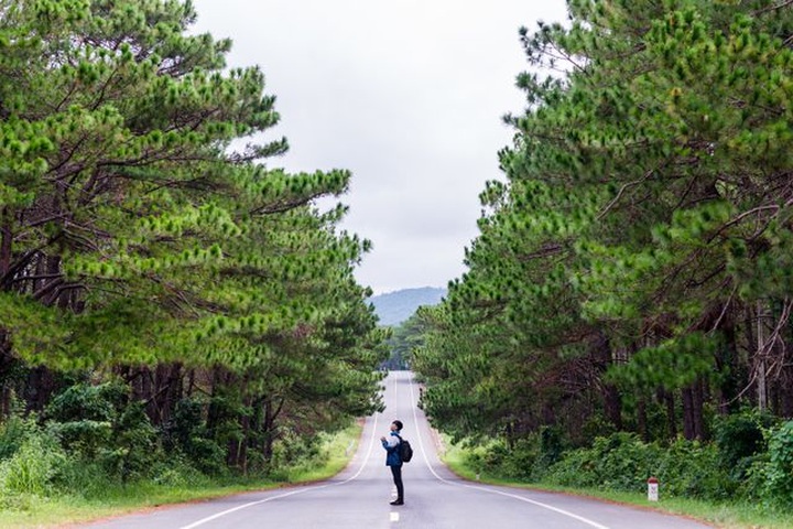 Hanoian releases north-south motorbike tour photo collection - 7