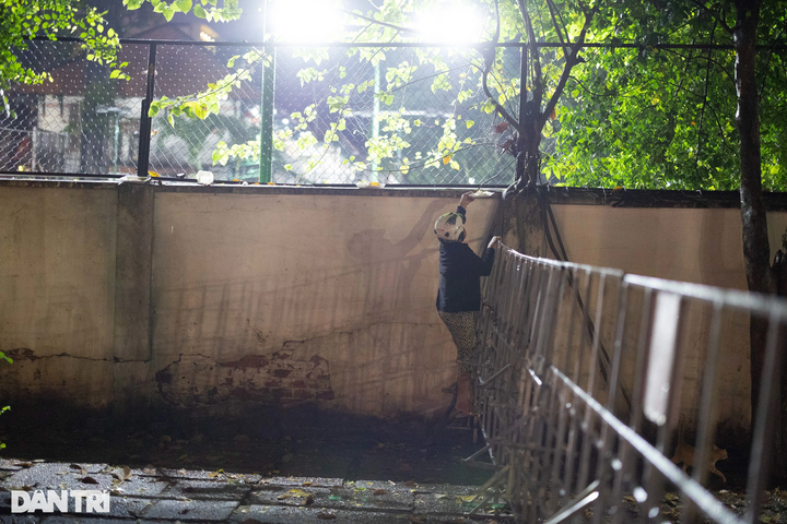 HCM City woman’s love for abandoned cats - 8