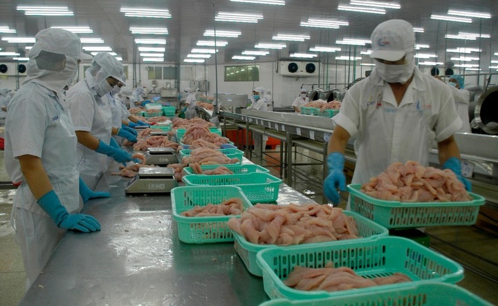 Jan-Sept seafood export value up 2.4% on-year despite pandemic - 1