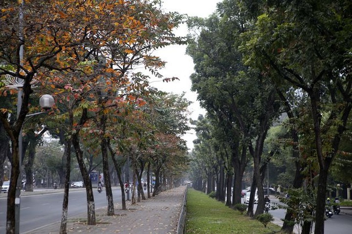 Hanoi’s spring moments - 6