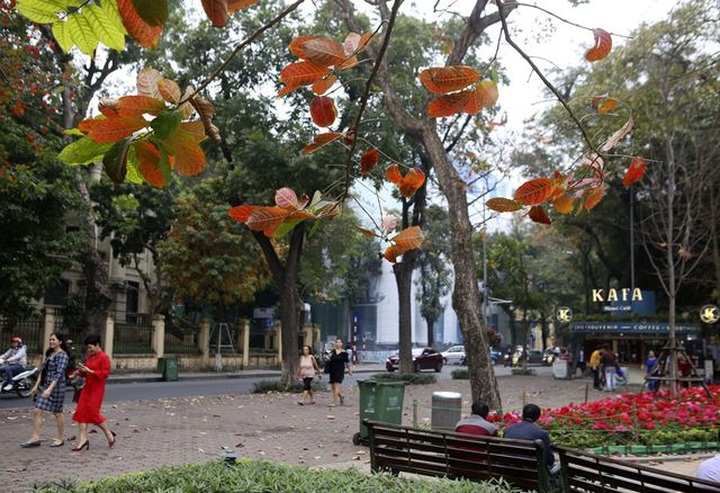 Hanoi’s spring moments - 7