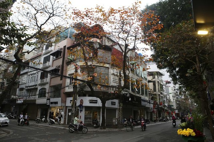 Hanoi’s spring moments - 8