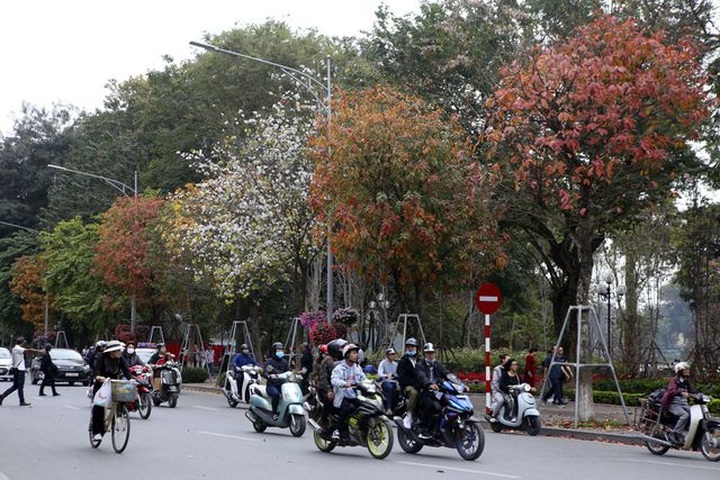 Hanoi’s spring moments - 2
