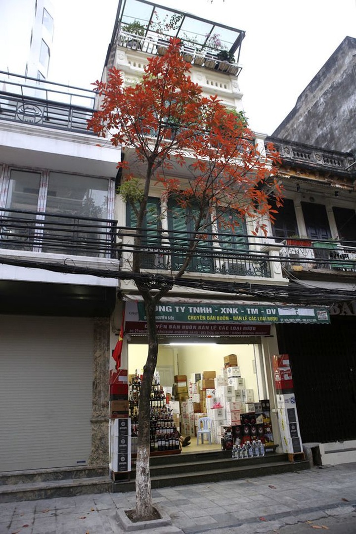 Hanoi’s spring moments - 3